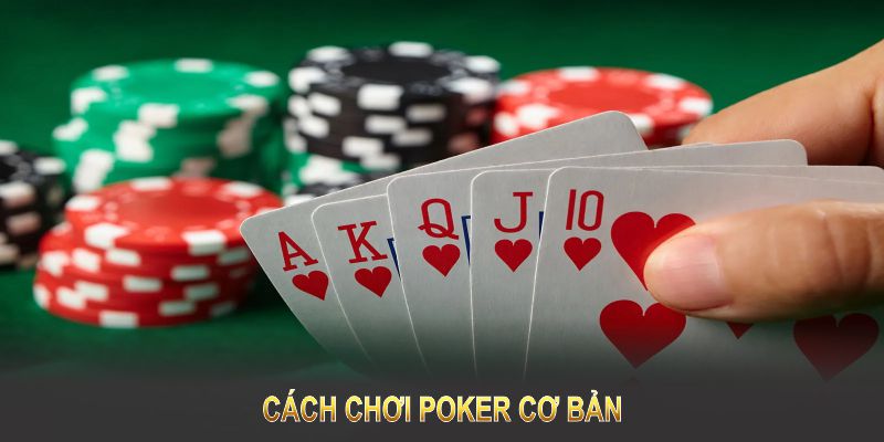 Cách chơi Poker cơ bản trải qua 4 vòng cược chính 