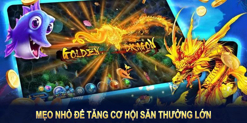 Bỏ túi ngay những mẹo nhỏ để tăng cơ hội săn thưởng lớn