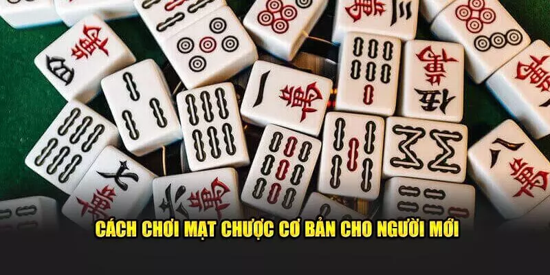 Luật chơi mạt chược chuẩn xác, hiệu quả cho người mới